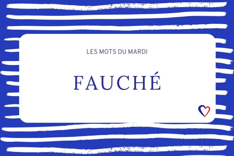 betekenis fauché
