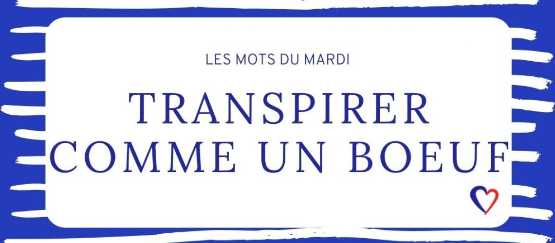 betekenis-transpirer-comme-un-boeuf betekenis transpirer comme un boeuf